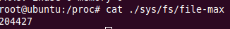 Linux 中必須要了解的命令操作