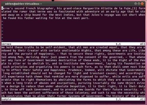 Vim初學者入門指南詳解