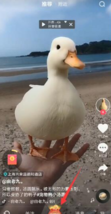 抖音極速版邀請碼怎么填 抖音極速版一天能賺多少