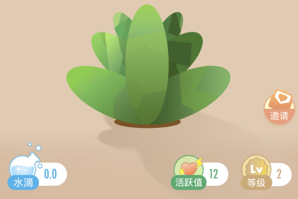 綠洲app水滴在哪 綠洲水滴怎么玩