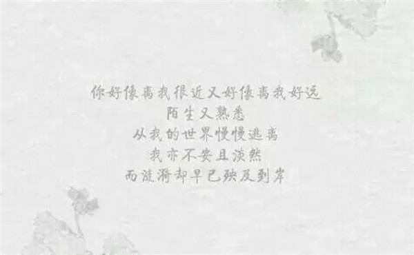 有關于暗戀的帶字圖片傷感心痛 用余生寫一首長詩