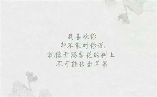 有關于暗戀的帶字圖片傷感心痛 用余生寫一首長詩