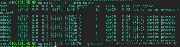 針對OpenSSL安全漏洞調整Nginx服務器的方法