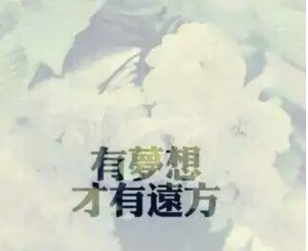 2020新的一年里比較勵志的說說 人生應(yīng)當(dāng)看清看透不看破