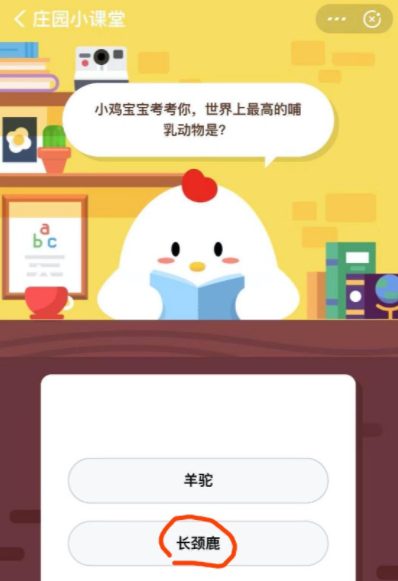 小雞寶寶考考你，世界上最高的哺乳動物是？