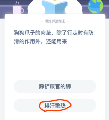 狗狗爪子的肉墊，除了行走時(shí)有防滑的作用外，還能用來？