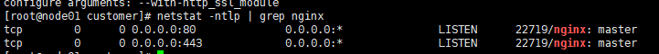 linux下安裝Nginx1.16.0的教程詳解