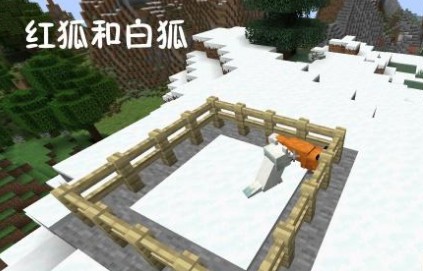 我的世界狐貍在哪里 我的世界中國版白狐在哪里