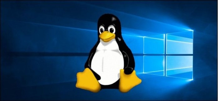 Windows 7停止支持，韓國政府考慮大規模遷移至Linux