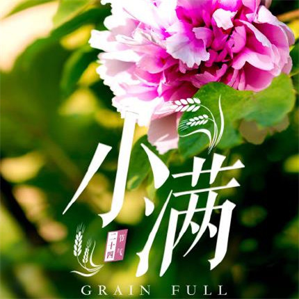 2020小滿節(jié)氣圖片高清風(fēng)景 最新小滿帶字圖片無水印