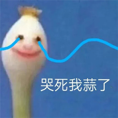 蒜了表情包合集 笑一下蒜了表情包