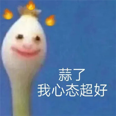 蒜了表情包合集 笑一下蒜了表情包