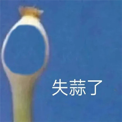 蒜了表情包合集 笑一下蒜了表情包