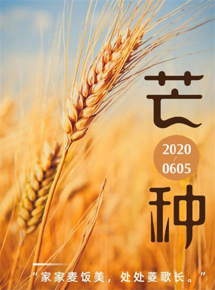 2020芒種圖片高清唯美 芒種節(jié)氣圖片大全帶字