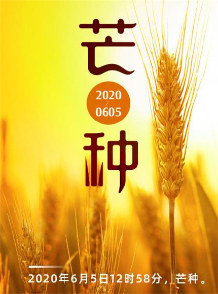 2020芒種圖片高清唯美 芒種節(jié)氣圖片大全帶字
