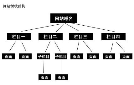 老司機站長告訴你網站結構該怎么去優化