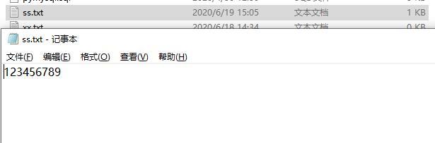 python寫文件時(shí)覆蓋原來(lái)的實(shí)例方法