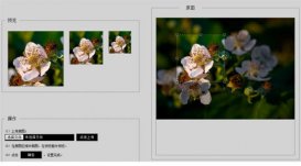 struts2+jsp+jquery+Jcrop實現圖片裁剪并上傳實例