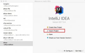 Intellij IDEA導(dǎo)入JAVA項(xiàng)目并啟動(dòng)(圖文教程)