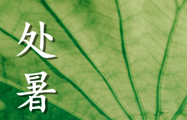 2020處暑節(jié)氣手機(jī)壁紙清新風(fēng) 處暑風(fēng)景壁紙自然風(fēng)光