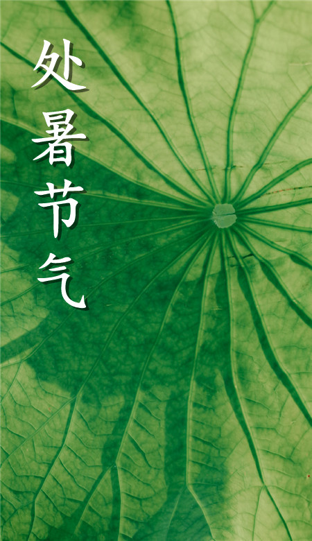 2020處暑節氣手機壁紙清新風 處暑風景壁紙自然風光