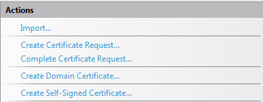在win2008 r2 英文版 IIS7.5上配置Https,SSL的方法