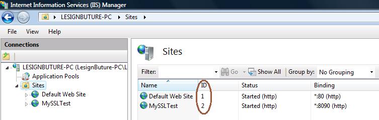 在win2008 r2 英文版 IIS7.5上配置Https,SSL的方法