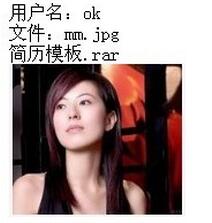 Servlet實現(xiàn)多文件上傳功能