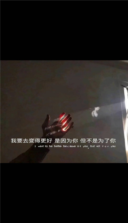 愛情語錄文字壁紙皮膚 大家珍惜眼前人