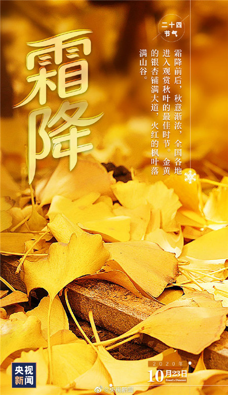 2020霜降節(jié)氣帶字壁紙圖片 秋天最后一個節(jié)氣壁紙