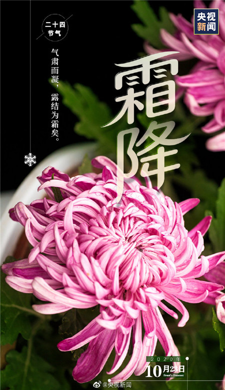 2020霜降節(jié)氣帶字壁紙圖片 秋天最后一個節(jié)氣壁紙