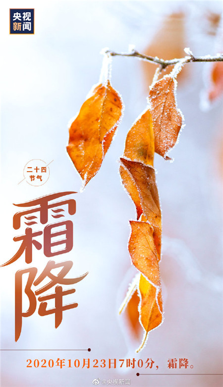 2020霜降節(jié)氣帶字壁紙圖片 秋天最后一個節(jié)氣壁紙