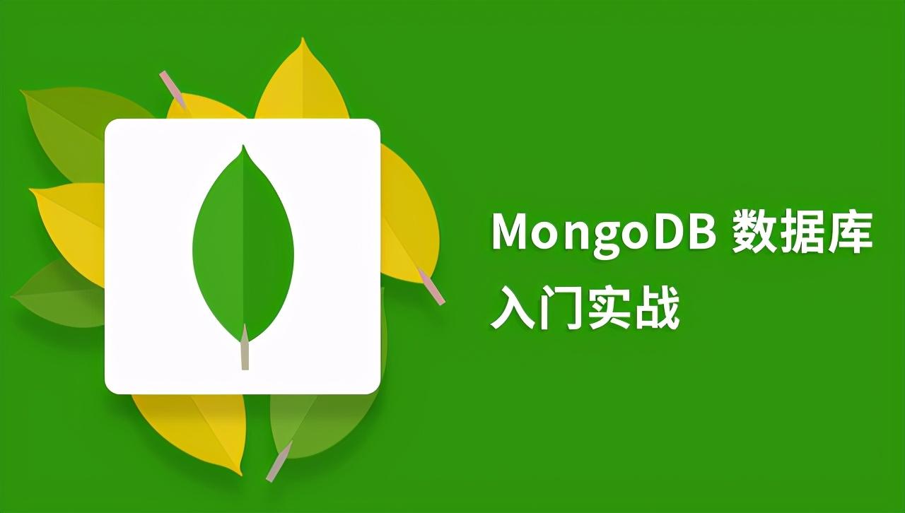 自學大數據，給IT新手的7個MongoDB實戰項目