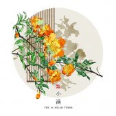 超好看的二十四節(jié)氣古風插畫素材 說好永遠的不知怎么就散了