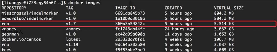 docker實踐之容器的導入與導出