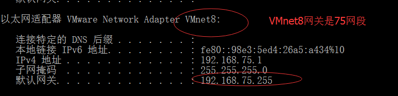 VMware的三種網絡連接方式區別