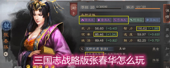 三國(guó)志戰(zhàn)略版張春華怎么玩 張春華玩法陣容搭配詳解