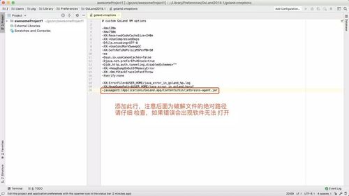 Goland激活碼破解永久版及安裝詳細教程(親測可以)