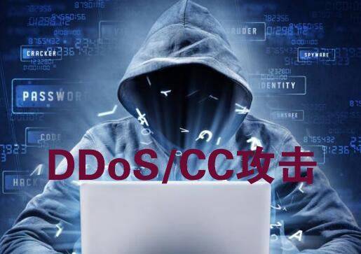 高防CDN與高防服務器有什么區別？