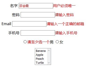 Yii框架中jquery表單驗(yàn)證插件用法示例
