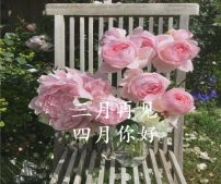 三月再見四月你好正能量句子 迎接四月的正能量語錄
