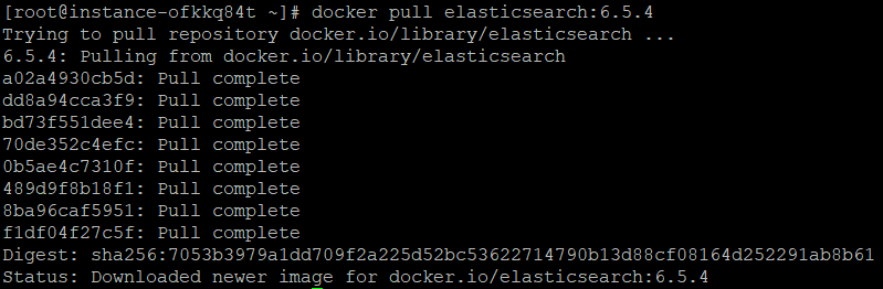 docker 安裝ElasticSearch 6.x的教程詳解