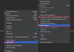 使用IntelliJ IDEA 進(jìn)行代碼對(duì)比的方法(兩種方法)