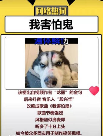 我不害怕鬼,我害怕人是什么歌？抖音我害怕鬼段在線聽完整版