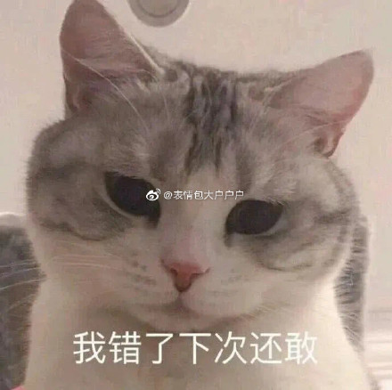 女生道歉專用頭像表情包 情侶吵架道歉表情包 男生道歉專用表情包