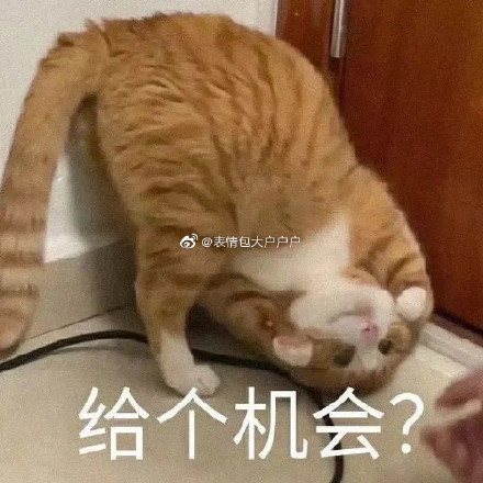 女生道歉專用頭像表情包 情侶吵架道歉表情包 男生道歉專用表情包