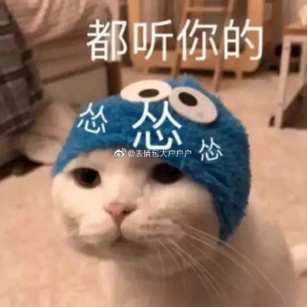 女生道歉專用頭像表情包 情侶吵架道歉表情包 男生道歉專用表情包