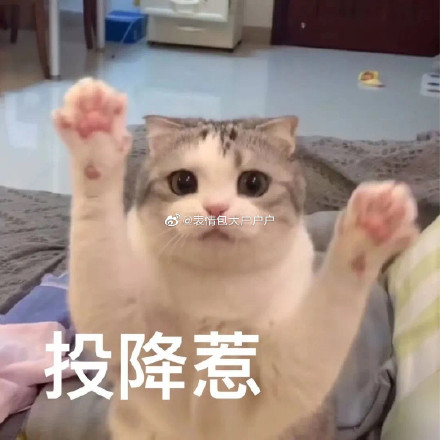 女生道歉專用頭像表情包 情侶吵架道歉表情包 男生道歉專用表情包
