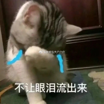 女生道歉專用頭像表情包 情侶吵架道歉表情包 男生道歉專用表情包