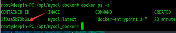 Deepin使用docker安裝mysql數據庫過程詳解